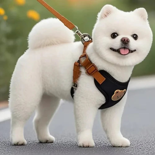Breathable Pet Harness & Leash Set – Adjustable Vest for Small Dogs & Cats (French Bulldog, Chihuahua, Puppy)