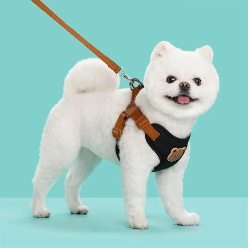 Breathable Pet Harness & Leash Set – Adjustable Vest for Small Dogs & Cats (French Bulldog, Chihuahua, Puppy)