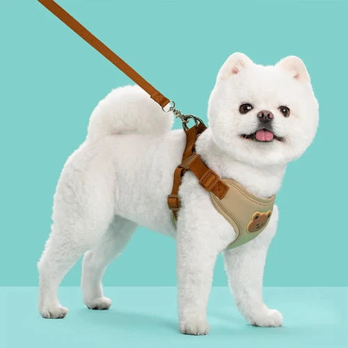 Breathable Pet Harness & Leash Set – Adjustable Vest for Small Dogs & Cats (French Bulldog, Chihuahua, Puppy)