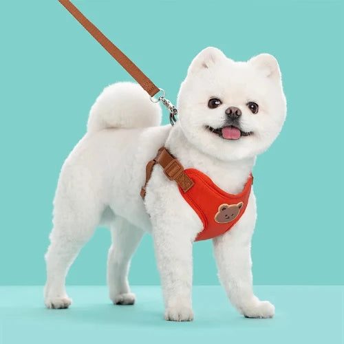 Breathable Pet Harness & Leash Set – Adjustable Vest for Small Dogs & Cats (French Bulldog, Chihuahua, Puppy)