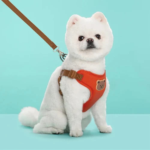 Breathable Pet Harness & Leash Set – Adjustable Vest for Small Dogs & Cats (French Bulldog, Chihuahua, Puppy)