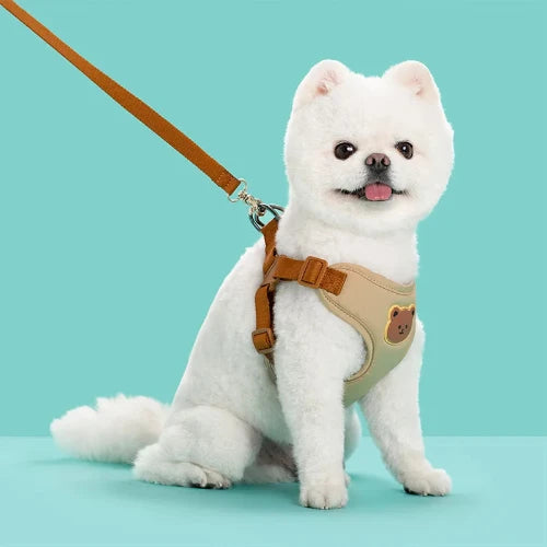 Breathable Pet Harness & Leash Set – Adjustable Vest for Small Dogs & Cats (French Bulldog, Chihuahua, Puppy)