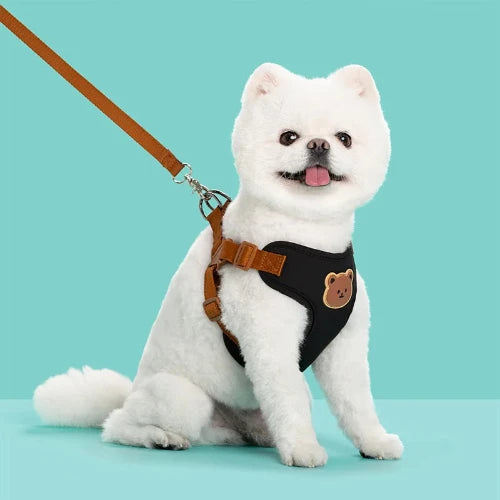 Breathable Pet Harness & Leash Set – Adjustable Vest for Small Dogs & Cats (French Bulldog, Chihuahua, Puppy)