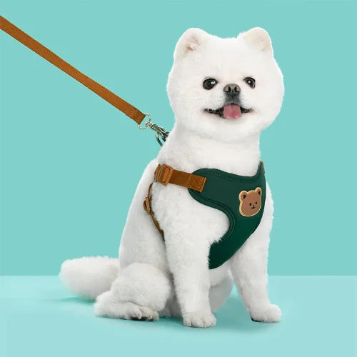 Breathable Pet Harness & Leash Set – Adjustable Vest for Small Dogs & Cats (French Bulldog, Chihuahua, Puppy)